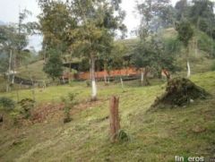 La Victoriana - Finca en El Colegio (Mesitas), Cundinamarca